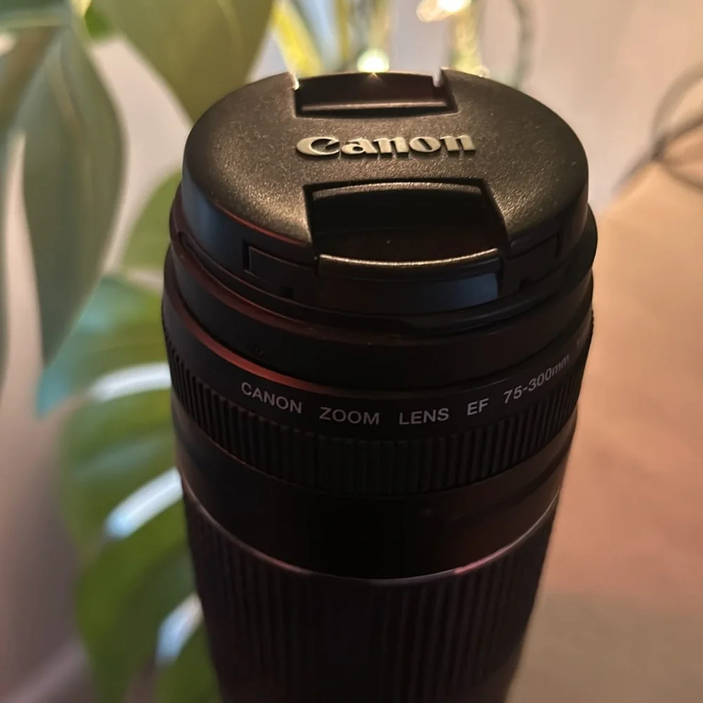 Canon 70-300 mm lens (EF) 1:4-5.6 III
